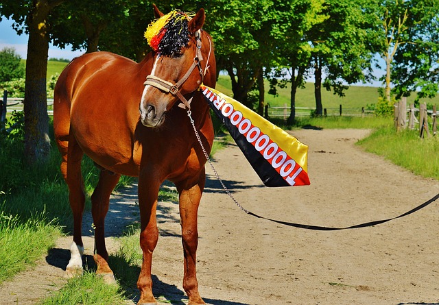 科曼：拜仁和巴黎是我最支持的球队，更支持拜仁一点